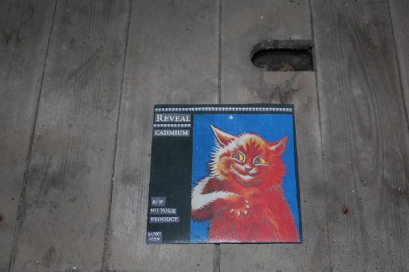 REVEAL! (ups) - Cadmium  7